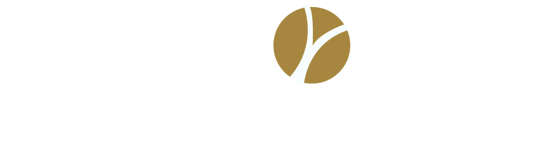 waypoint-strategic-advisors-logo.png
